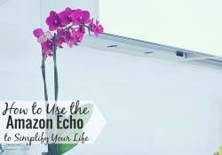 The Amazon Echo is a voice activated device that brings Amazon into your home. Read my Amazon Echo review to explore its features and discover how it works.