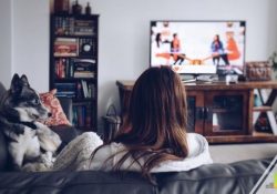 Choosing between Hulu vs. Hulu Live is difficult. We share the differences between Hulu vs. Hulu Plus so you can see which is best for you.