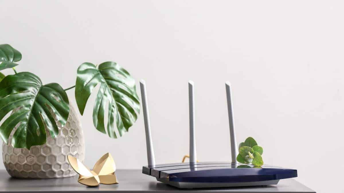 bandwidth for sale